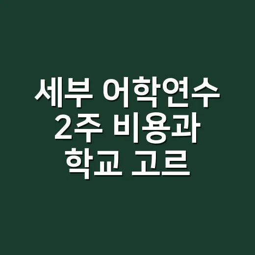세부 어학연수 2주 비용과 학교 고르는 방법 - 요약