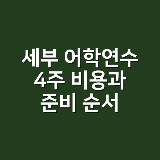 세부 어학연수 4주 비용과 준비 순서 잡는 방법 - 요약