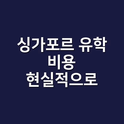 싱가포르 유학 비용 현실적으로 계산하는 방법 - 요약