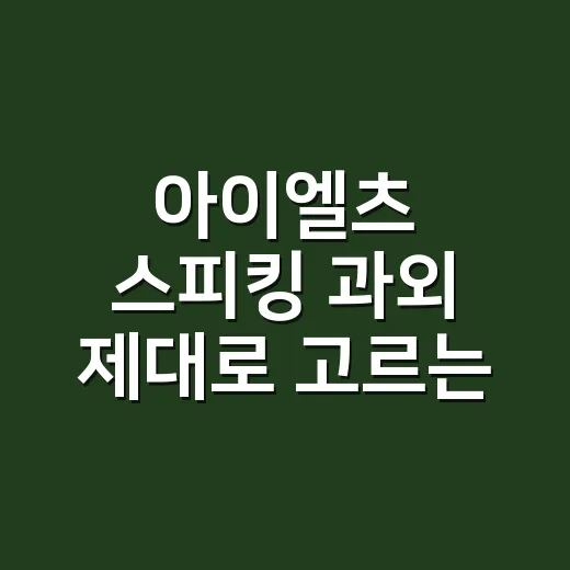 아이엘츠 스피킹 과외 제대로 고르는 방법 - 요약