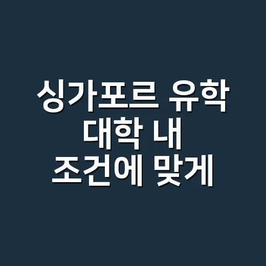 싱가포르 유학 대학 내 조건에 맞게 고르는 방법 - 요약