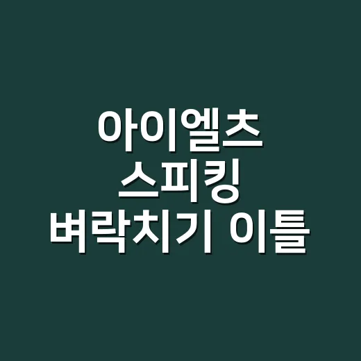 아이엘츠 스피킹 벼락치기 이틀 안에 준비하는 방법 - 요약