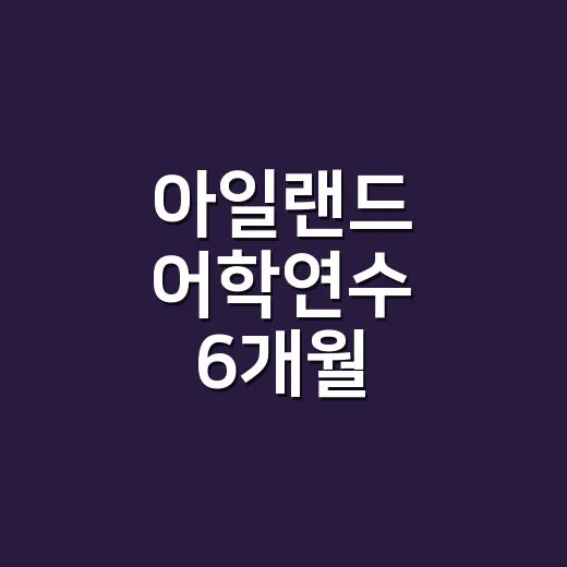 아일랜드 어학연수 6개월 준비하는 방법 - 요약