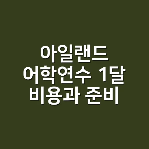 아일랜드 어학연수 1달 비용과 준비 순서 잡는 방법 - 요약