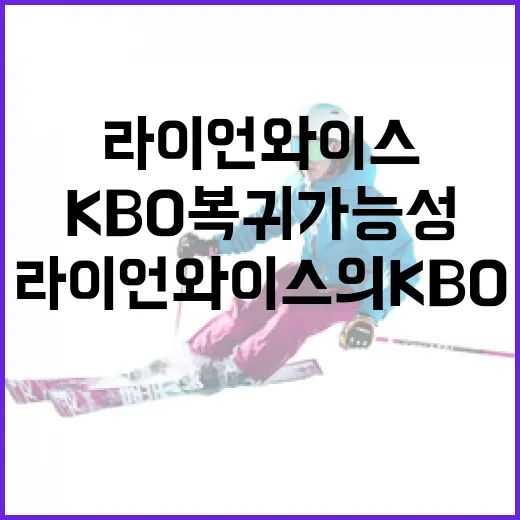 라이언 와이스의 KBO 복귀 가능성: 기대와 현실 - 요약