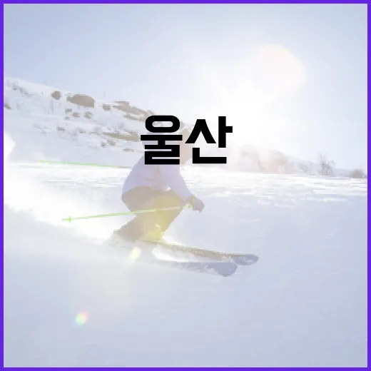 울산 웨일즈를 탐험하는 방법 - 요약