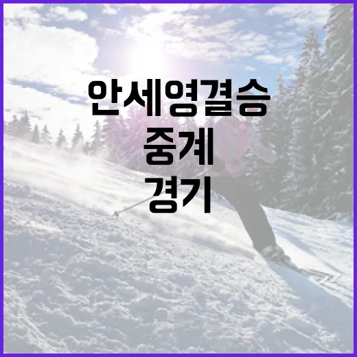 안세영 결승 경기 중계를 놓치지 않는 방법 - 요약