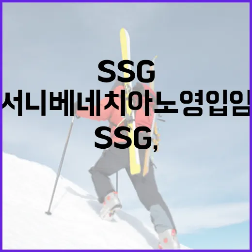 프랑크 토트넘 감독의 고속노화 방지하는 방법 - 요약