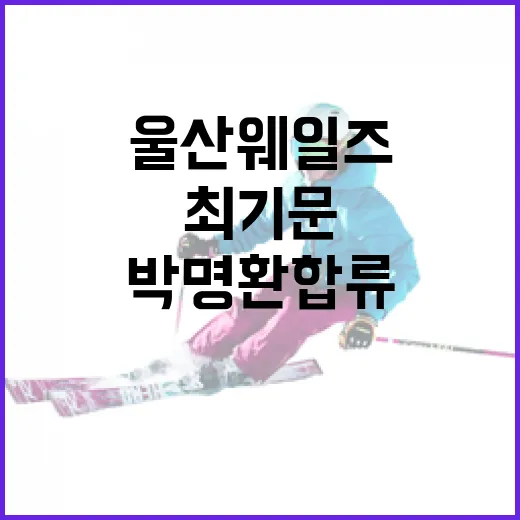 울산 웨일즈에 최기문 박명환 합류하는 방법 - 요약