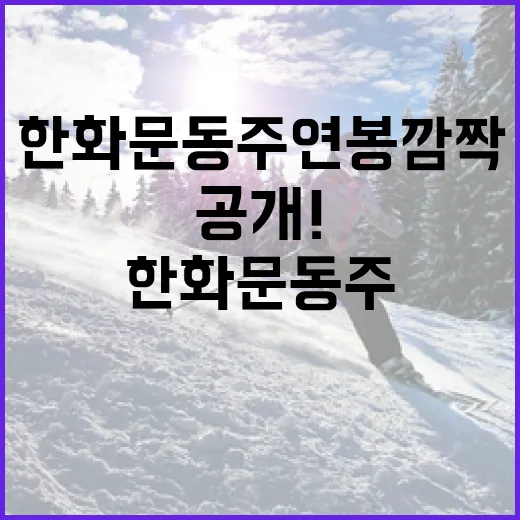 한화 문동주 연봉 깜짝 공개! 그 비밀을 알아보는 방법 - 요약
