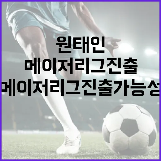 원태인의 메이저리그 진출 가능성 분석 방법 - 요약