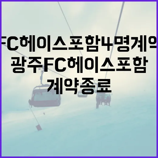 광주FC 헤이스 포함 4명 계약 종료에 대한 이해와 대처 방법 - 요약