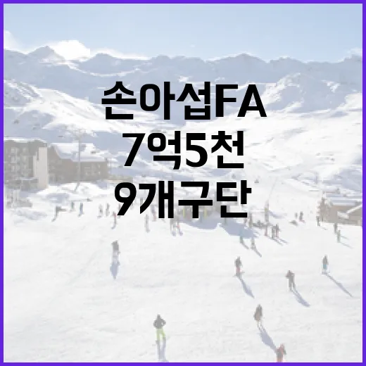 손아섭 FA 7억5천 외면, 9개 구단의 선택은? - 요약