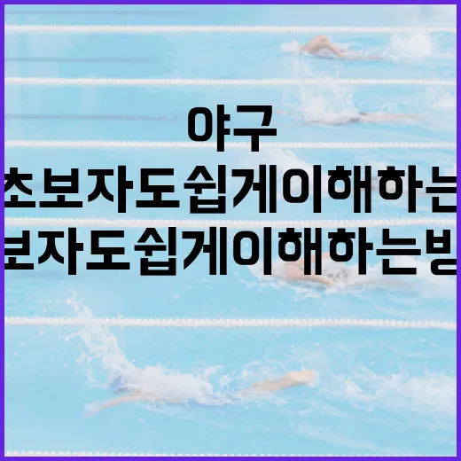 불꽃야구 즐기기: 초보자도 쉽게 이해하는 방법 - 요약