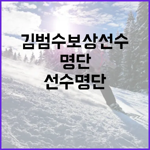 김범수 보상선수 명단에 대한 이해: 불확실성을 해소하는 방법 - 요약