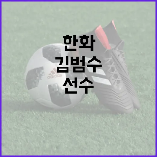 한화 김범수 보상선수 주의사항 알아보기 - 요약