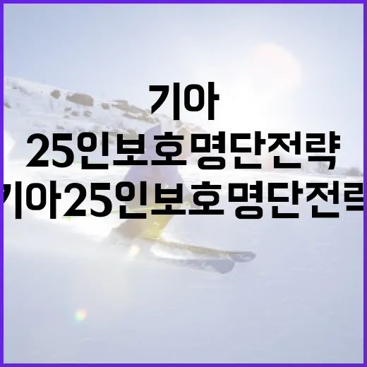 기아 25인 보호명단 전략을 세우는 방법 - 요약