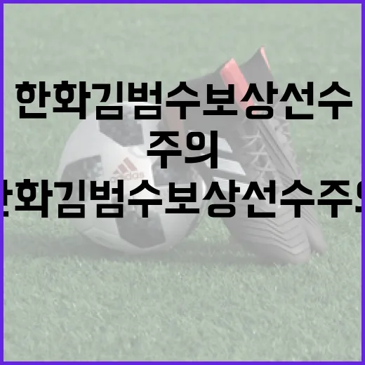 한화 김범수 보상선수 주의를 기울이는 방법 - 요약