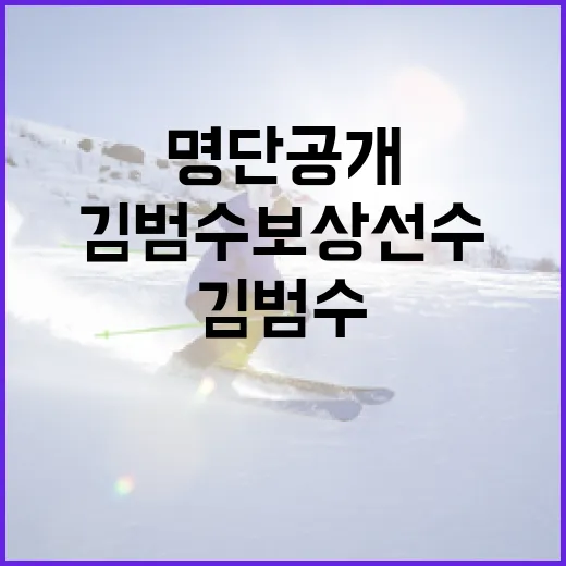 김범수 보상 선수 명단 공개하는 방법 - 요약