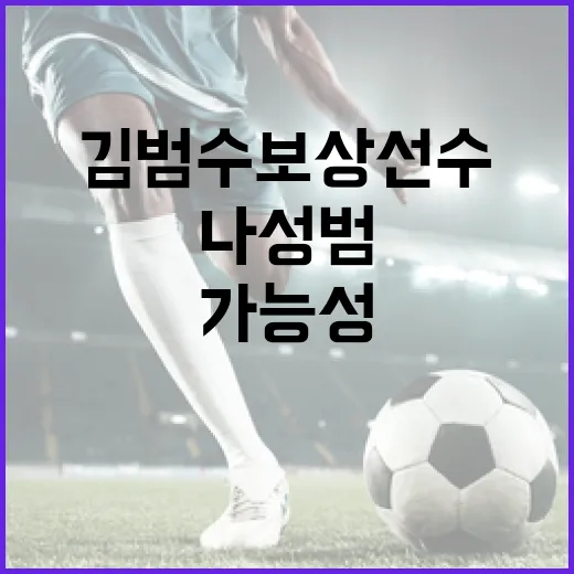 나성범과 김범수 보상선수 한화행 가능성 알아보기 - 요약