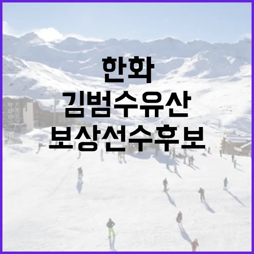 한화 김범수 유산·보상선수 후보 이해하기 - 요약