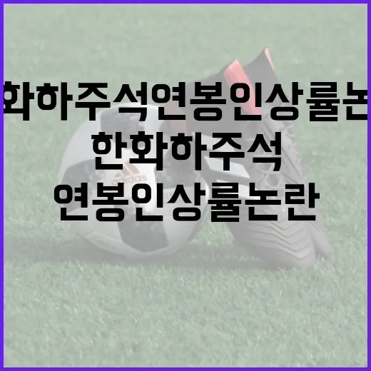 한화 하주석 연봉 인상률 논란 이해하는 방법 - 요약