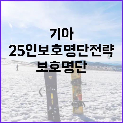 기아 팬이라면 알아야 할 25인 보호명단 전략 세우는 방법 - 요약