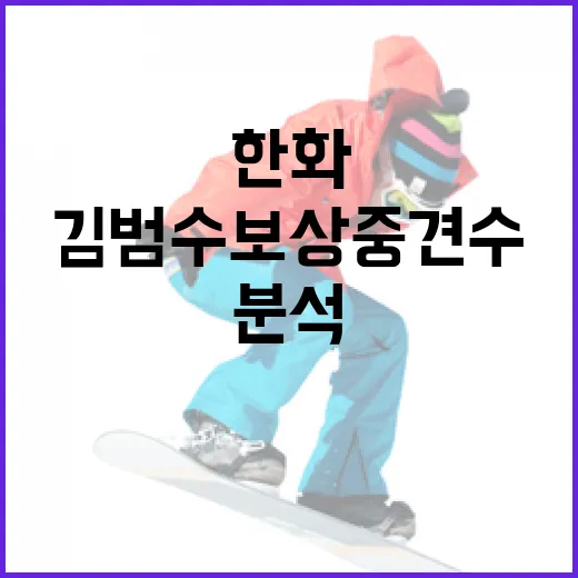 한화 김범수 보상 중견수 분석하는 방법 - 요약