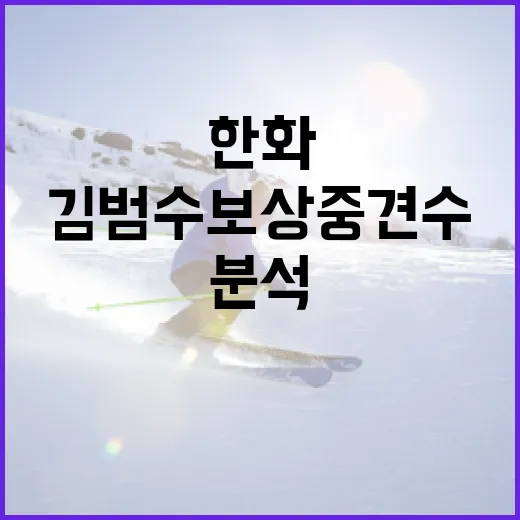 한화 김범수 보상 중견수 분석하는 방법 - 요약