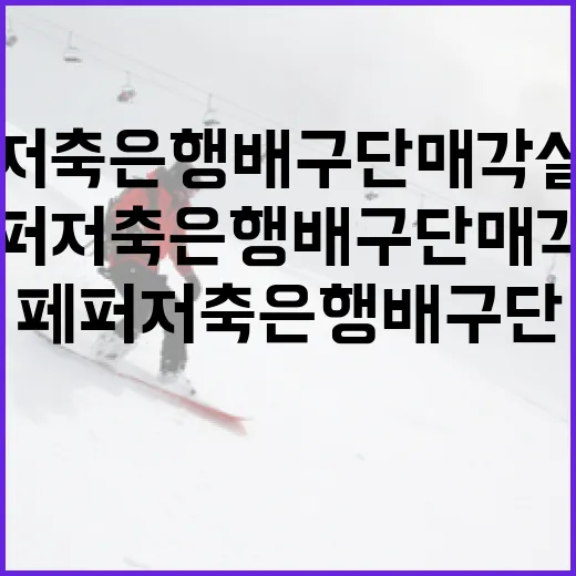 페퍼저축은행 배구단 매각설 논란 이해하기 - 요약