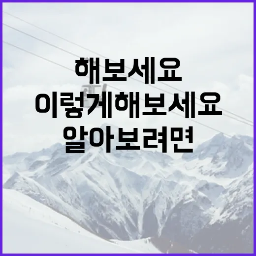 박상효에 대해 알아보려면 이렇게 해보세요 - 요약