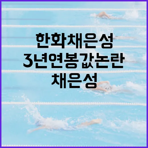 한화 채은성의 3년 연봉값 논란을 이해하는 방법 - 요약