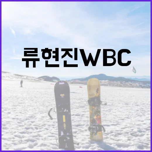 류현진 WBC 대표…