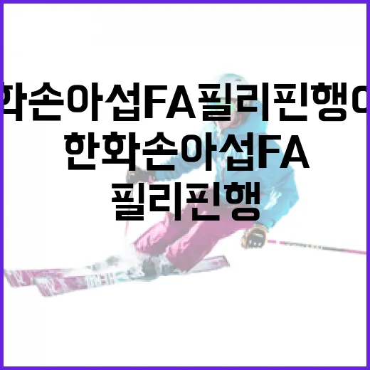 한화 손아섭 FA 필리핀행 이유 알아보기 - 요약