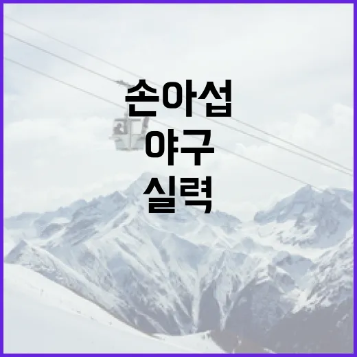 손아섭의 야구 실력을 향상시키는 방법 - 요약