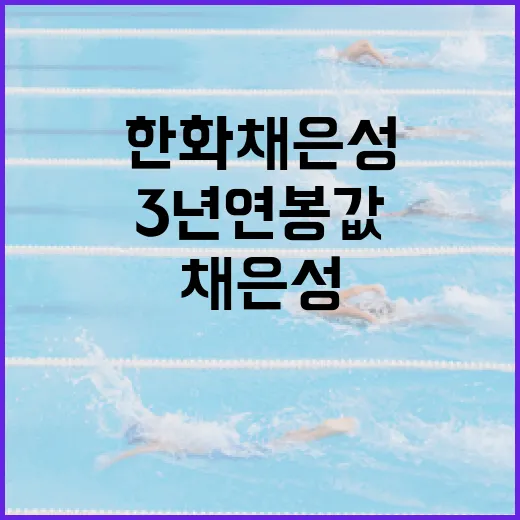 한화 채은성의 3년 연봉값을 분석하는 방법 - 요약