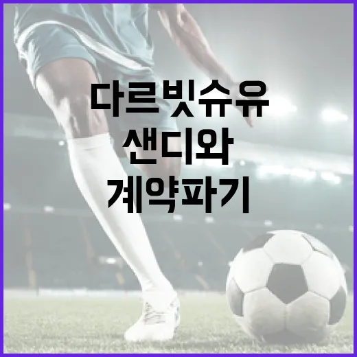 다르빗슈 유와 샌디와의 계약 파기 소식을 이해하는 방법 - 요약