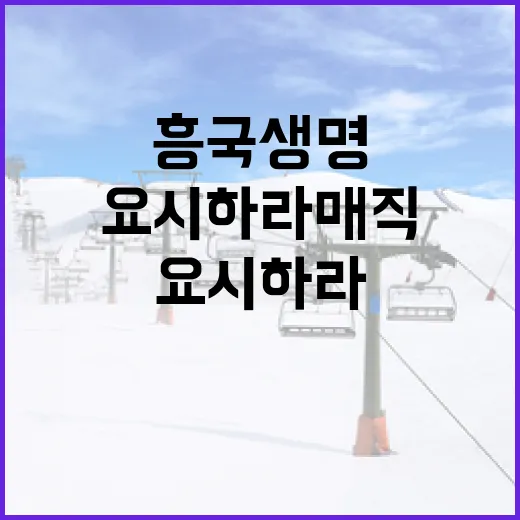 흥국생명 보험을 선택할 때 요시하라 매직을 활용하는 방법 - 요약