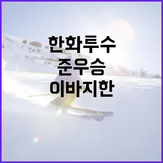 한화 투수가 준우승에 이바지한 방법 - 요약