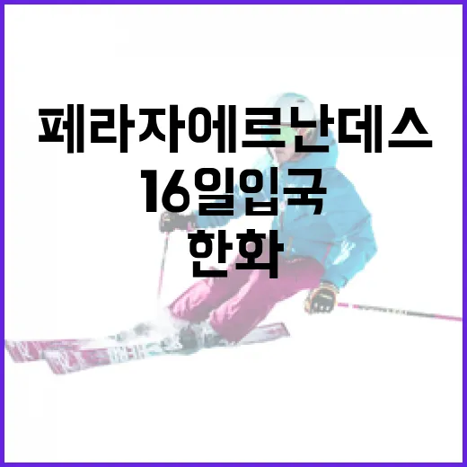 한화 페라자 에르난데스 16일 입국에 대해 알아야 할 모든 것 - 요약