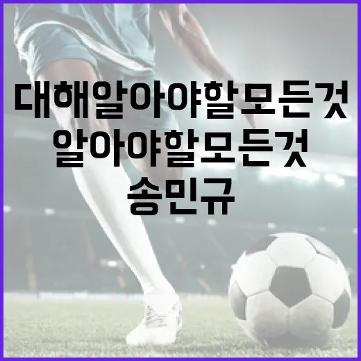 송민규에 대해 알아야 할 모든 것: 그의 경력과 업적 - 요약