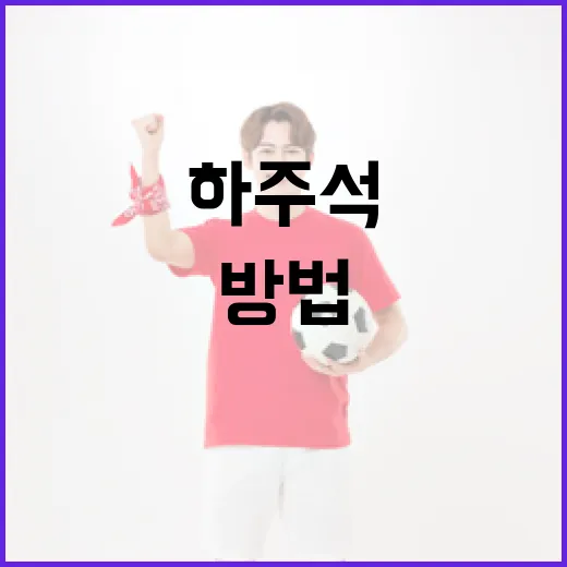 하주석을 이해하고 활용하는 방법 - 요약