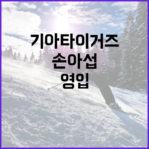 기아 타이거즈의 손아섭 영입을 바라보는 방법 - 요약