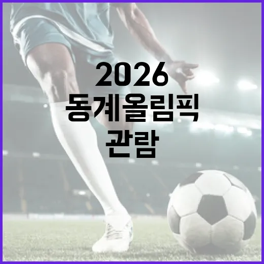 동계올림픽 2026을 즐기는 방법: 준비부터 관람까지 - 요약
