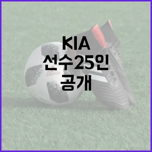 KIA 보호선수 25인 공개 정보를 이해하는 방법 - 요약