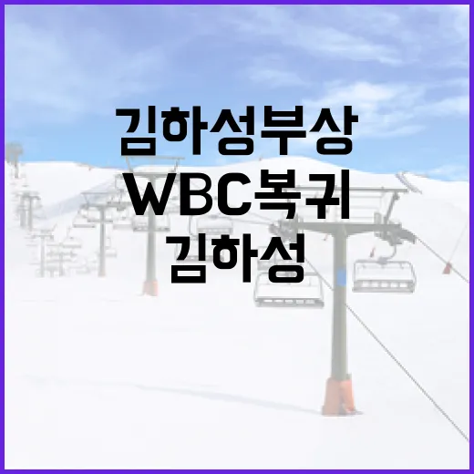 김하성 부상 후 WBC 복귀를 위한 준비 방법 - 요약