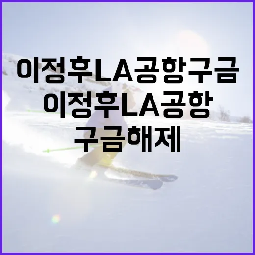 이정후 LA공항 구금 해제 상황 이해하기 - 요약