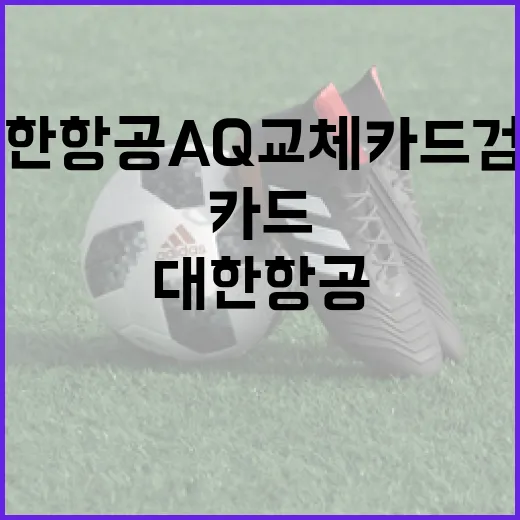 대한항공 AQ 교체 카드 검토하는 방법 - 요약