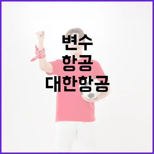 대한항공 21세 변수 등장에 적응하는 방법 - 요약