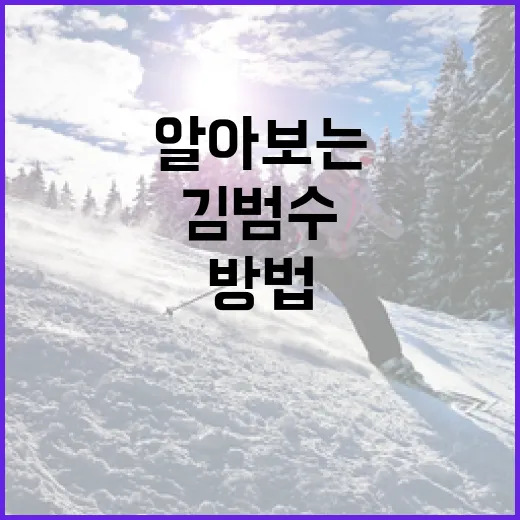 김범수에 대해 알아보는 방법 - 요약